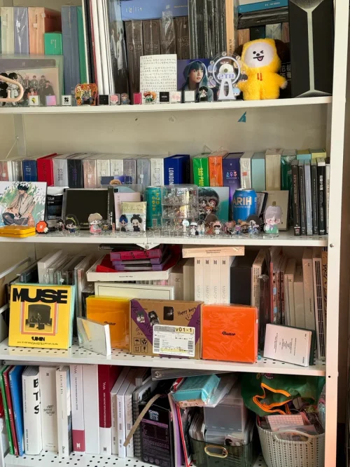 挖煤姬成功下车✨
一边是古早BTS日巡DVD合集，Wings、LY、Wake Up还有早期FM，把旧舞台回忆全部收回来；
另一边是一整套软乎乎的Chimmy大军，大大小小chimmy玩偶、抱枕、小包齐聚，小黄狗集体报到?
煤炉淘中古真的很惊喜，仓库入库检查仔细，打包...