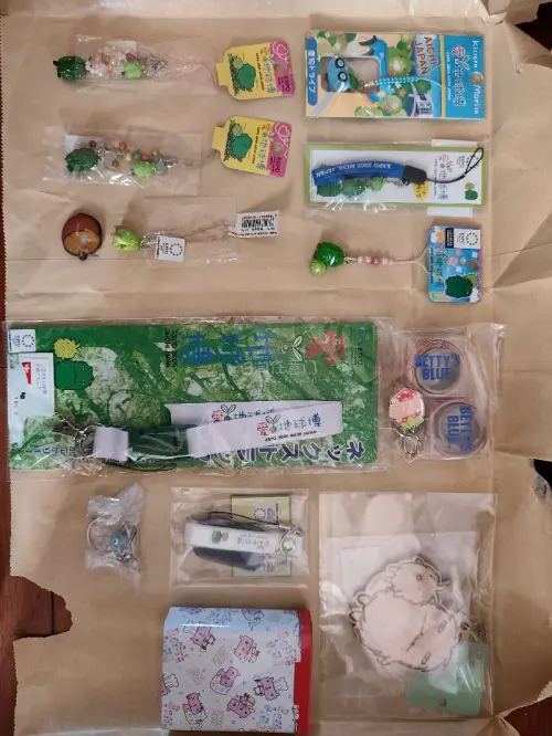 这次海淘收获满满，收到2005爱知地球博吉祥物森林爷爷&amp;森林小子全套周边，文具、挂件、铁盒种类很多。都是当年会场原版好物，包装完整，品相很不错。这个冷门古早IP太可爱了，作为世博收藏很有价值，一次很棒的淘货体验！