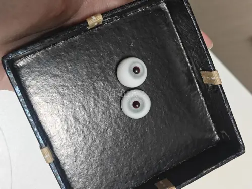 美丽的nichinichi眼