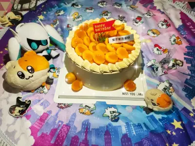 买到了心心念念的毯子