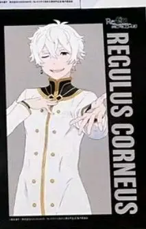 这次在挖煤姬切了《Re:从零开始的异世界生活》的食玩卡，体验非常好！卖家发货很快，包装也很仔细，卡片没有折角也没有压痕，品相很满意。挖煤姬这边的入库、称重、发货流程都很清楚，物流更新也及时，整体很省心。能收到自己想要的Re:0食玩卡真的很开心，下次还会继续用挖煤姬切...