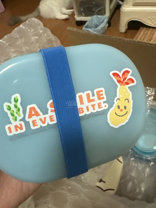 买了好几个超级可爱的中古便当盒，大部分都是新的，打算养小狗一起出去露营的时候使用，真的太可爱，好喜欢，挖煤姬打开了我的新世界～