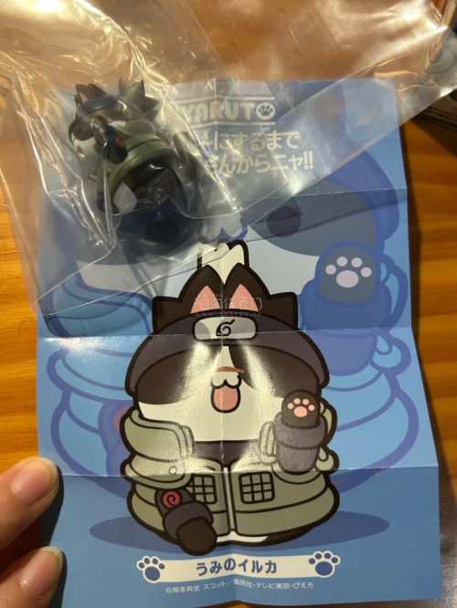 挖煤姬在切的Amiami一弹忍喵！可爱的要命的小猫咪，走的是epl，周末还在过关，非常快，纸盒硬得不得了，发件到手就5天～整体流程特别迅速简单