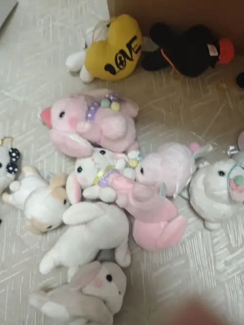 十月海淘分享上线啦！如果你也爱收集各类IP毛绒娃娃，挖煤姬是很不错的海淘选择。我经常在上面选购喜欢的毛绒，这次又收到了一大堆爱不释手的玩偶。第一次选用邮政海运路线，本以为会耗时很久，结果20天左右就顺利收货，包装十分牢固，货品完好，整体体验很满意。