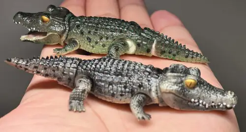 在挖煤姬蹲到万代生物大图鉴Q版鳄鱼中古扭蛋，国内现货溢价高，煤炉中古价更好价。仓库免费仓储，建议多件合箱分摊运费。物流选竹蜻蜓专线，大概两周到手。整体安全下车，收藏生物大图鉴的推荐蹲一波！