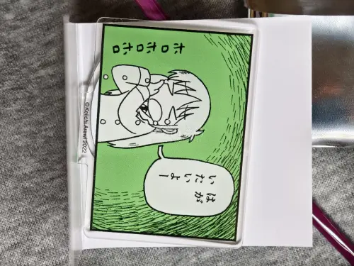 三十一次分享