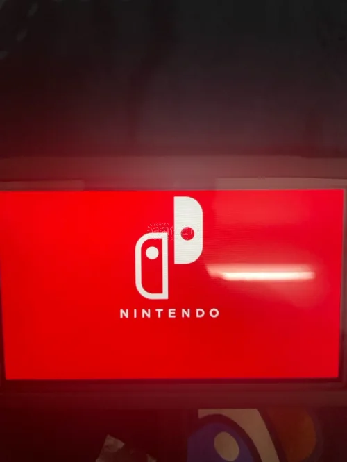 顺利下车！Switch Lite收到啦，成色和卖家描述一致，开机正常，运行流畅。包裹打包得很扎实，清关也挺顺利，终于拿到手可以慢慢玩卡带了，这次海淘体验很不错！