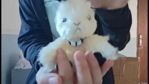 这次我在挖煤姬买到了很多好价的源氏毛绒，实物特别美丽！
挖煤姬发货很迅速，东西很快就到手了。箱子也很结实，东西都没有损坏，购物体验特别好！
毛绒赛高！