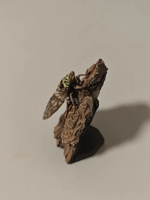 这次分享的是yujin原色增补昆虫中的蟪蛄，我们通常说的知了就是它了。体型较小，所以自带仿树皮底座，显示了夏日中的情景。任意门的包装非常严实，保护了它的足没有在运输中断件。物流速度也靠谱。推荐大家使用！