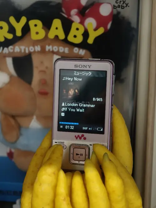 又收了两台中古索尼MP3，到手成色超出预期，卖家标注的小瑕疵几乎可以忽略，机身保养得很不错，功能全部正常。
 
整个流程很省心，下单、入库、合单一目了然，仓库打包稳妥。这次选的路线速度很惊喜，运输比预想快很多，全程物流可追踪。
 
作为复古随身听玩家，煤炉里这类老音...