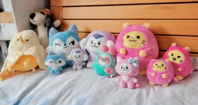 可爱的蓝狐狸chung-ee！赶在彩领生日前几天收到了！励志把所有旧日wdzy都收集完整！(/(°∞°)\)