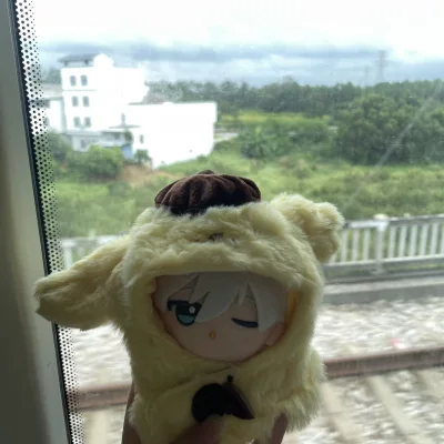 因为代抓说线上抓不了了，立马来挖煤姬自己切了一只nagi努努，下单后切的速度也很快，走的ems大概两周这样收到了，拿到手看到实物真的超级可爱55555然后带出去一起玩了，特别可爱的宝宝