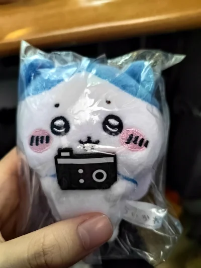 第二次挖煤了，比起第一次成熟了很多。学会了合单省了不少邮费买了更多的娃娃，而且合单速度也不是很慢，加上物流大概花了8天左右。ems物流yyds。买了很多最近很火的chiikawa，加上也邮费比国内便宜多了，而且好评还有积分优惠。
包装很严实，娃娃很可爱⚈₃⚈
下次还...