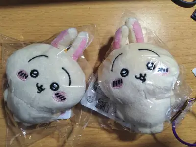 在挖煤姬购买了Chikawa的系列，用的邮政EMS进行配送。
整体物流体验非常满意，寄送速度快，且可追踪，才花了大概1周。
挖煤姬价格相对较低，ems非常适合寄送小玩具，周边等不同类型的货物。强烈推荐使用EMS。
虽然有点贵但是值得。chiikawa可爱的宝宝超级可...