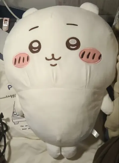 第一次尝试海淘，想买ckw，刚好就听说了挖煤姬，这次用的是竹蜻蜓物流，等岛内的那段时间真的很煎熬，到了后头直接加速了！！包装的很好！！之后有机会还有选择挖煤姬的！