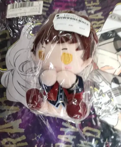 这次买的是cd,抱枕和玩偶之类杂七杂八的东西，抱枕什么的都抽了真空，加起来一共四千克，海运二十多天多平安落地✓快乐开箱！