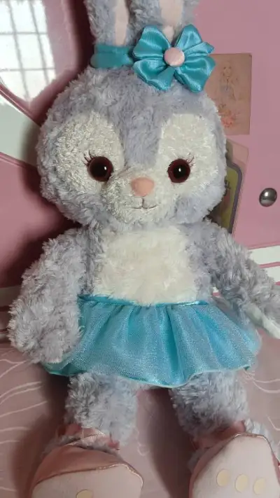 这次是切的迪士尼两小只s号玩偶~
太太太可爱啦！！东迪崽崽就是肥美！
不得不说，最开始第一次自己切物的时候心情还是蛮忐忑的，不知道入库以后要怎样邮寄，怎样验货才能顺利到手，结果挖煤姬的一步步指引还是非常清晰明了的，按照步骤一步步操作，就顺了帮助我从异国他乡拿到了这两...